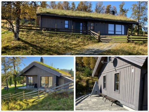 Bilde 1 av annonsen