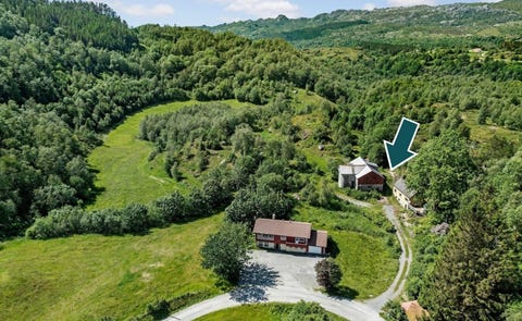 Bilde 1 av annonsen