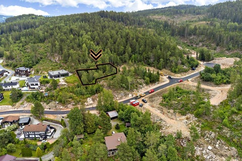 Bilde 1 av annonsen