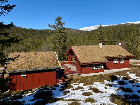 Bilde 1 av annonsen