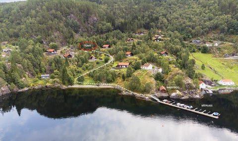 Bilde 1 av annonsen