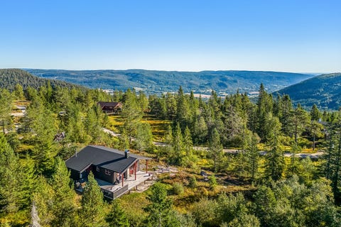 Bilde 1 av annonsen