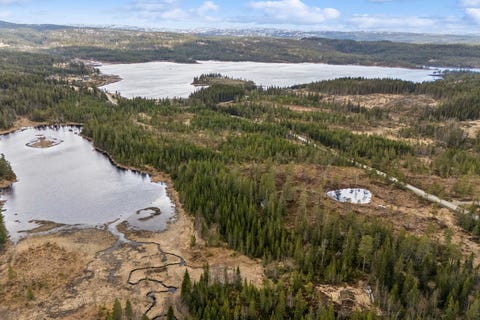 Bilde 1 av annonsen