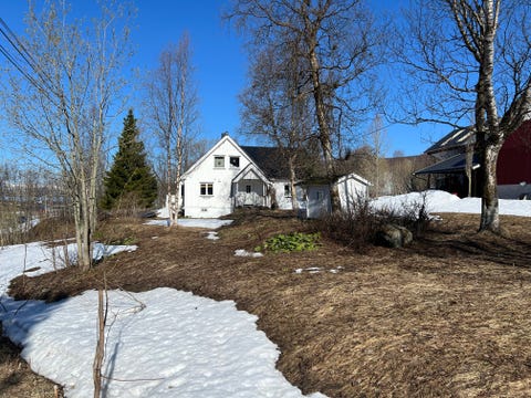 Bilde 2 av annonsen