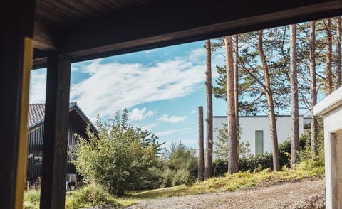 Bilde 2 av annonsen