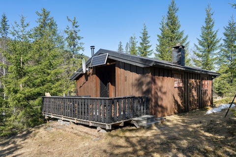 Bilde 1 av annonsen