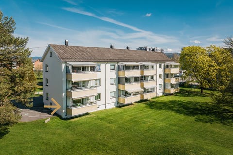 Bilde 1 av annonsen
