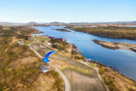 Bilde 1 av annonsen