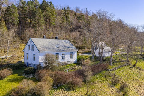 Bilde 1 av annonsen