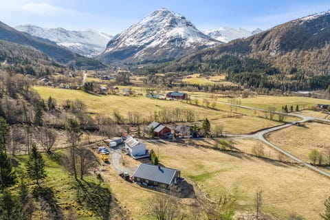 Bilde 1 av annonsen