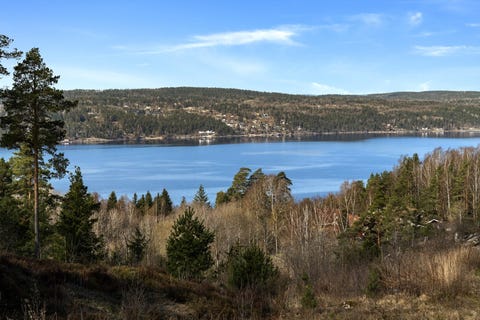 Bilde 2 av annonsen