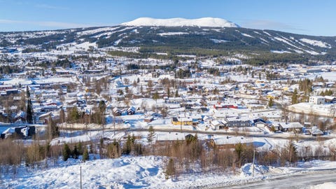 Bilde 1 av annonsen