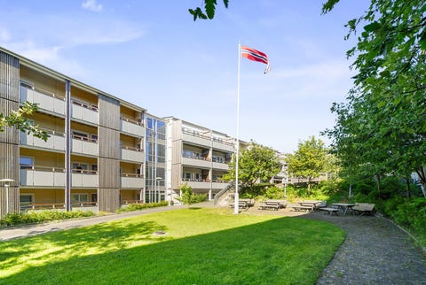 Bilde 1 av annonsen