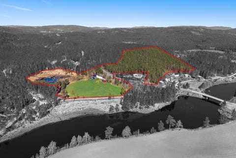 Bilde 1 av annonsen