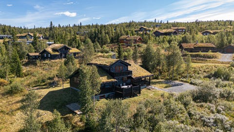 Bilde 1 av annonsen