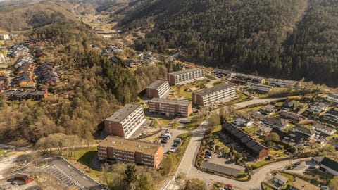 Bilde 2 av annonsen