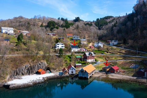 Bilde 1 av annonsen