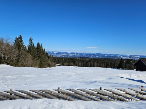Bilde 2 av annonsen