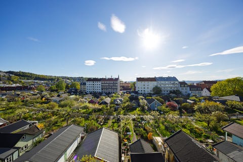 Bilde 2 av annonsen