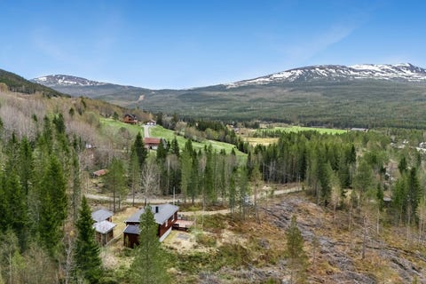 Bilde 1 av annonsen