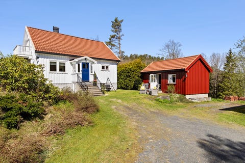 Bilde 1 av annonsen