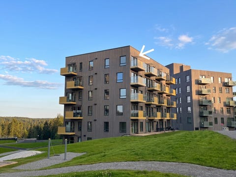 Bilde 1 av annonsen