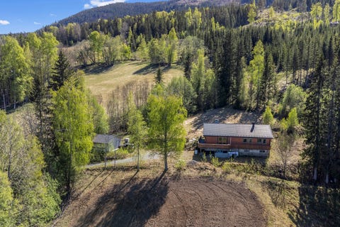 Bilde 1 av annonsen