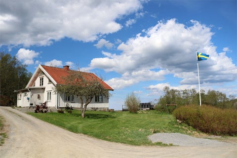 Bilde 1 av annonsen