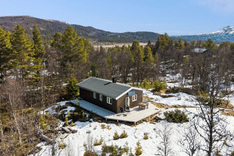 Bilde 1 av annonsen