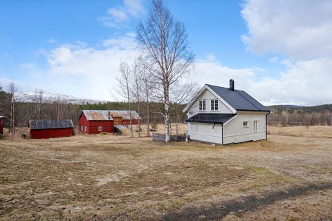 Bilde 1 av annonsen