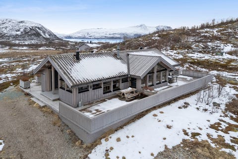 Bilde 1 av annonsen