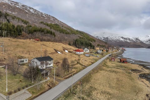 Bilde 1 av annonsen