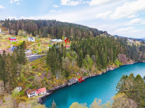 Bilde 2 av annonsen