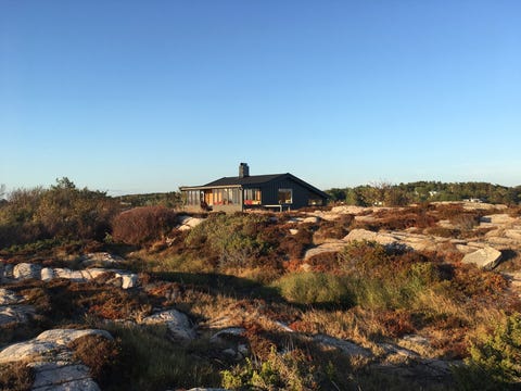 Bilde 2 av annonsen