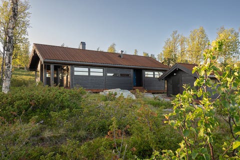 Bilde 1 av annonsen