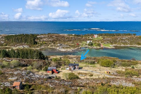 Bilde 1 av annonsen