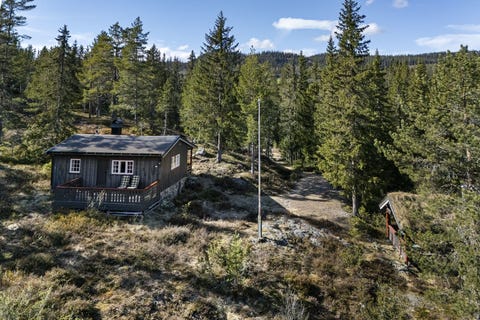 Bilde 1 av annonsen