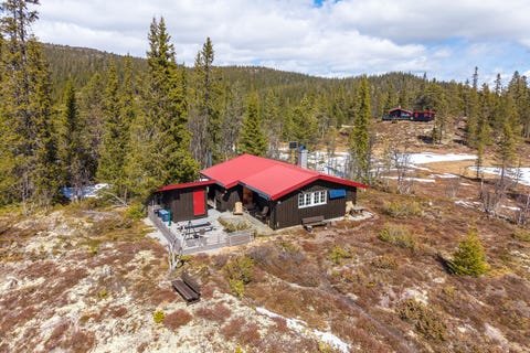 Bilde 1 av annonsen