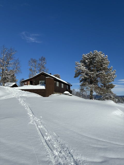 Bilde 1 av annonsen