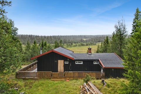 Bilde 1 av annonsen