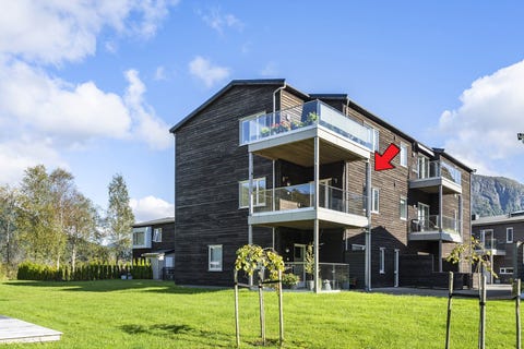 Bilde 1 av annonsen