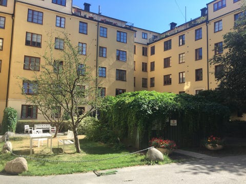 Bilde 1 av annonsen
