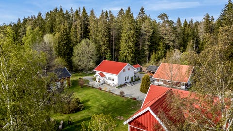 Bilde 1 av annonsen