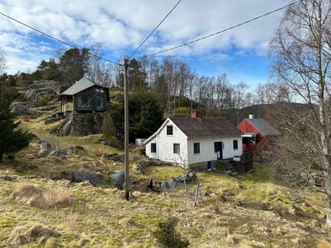 Bilde 1 av annonsen