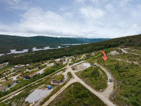 Bilde 2 av annonsen