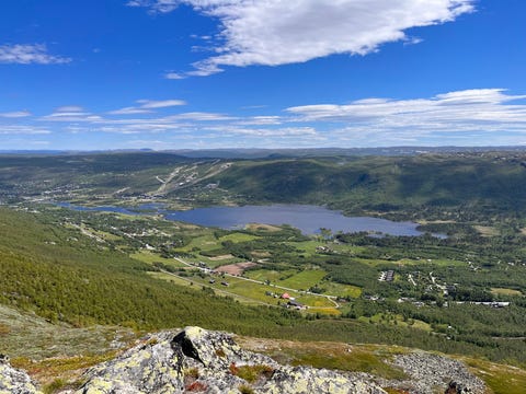 Bilde 1 av annonsen
