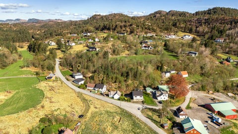Bilde 1 av annonsen