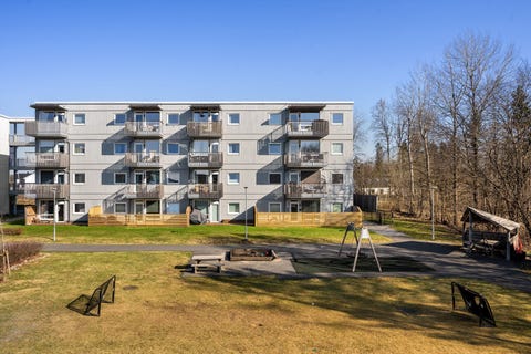 Bilde 2 av annonsen