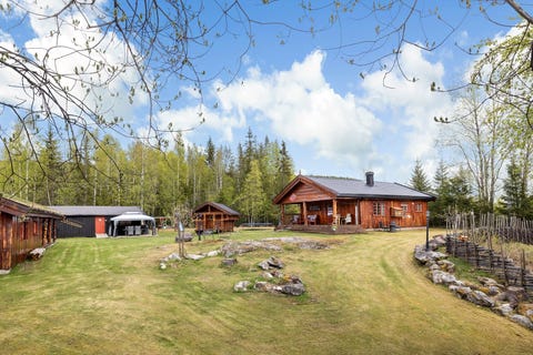 Bilde 1 av annonsen