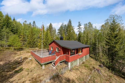 Bilde 1 av annonsen